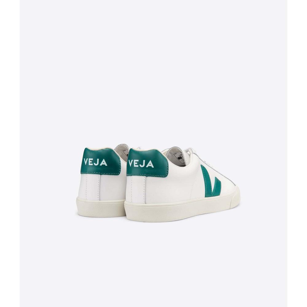 Veja ESPLAR LEATHER Men's Sneakers White/Green | NZ 305ZUT